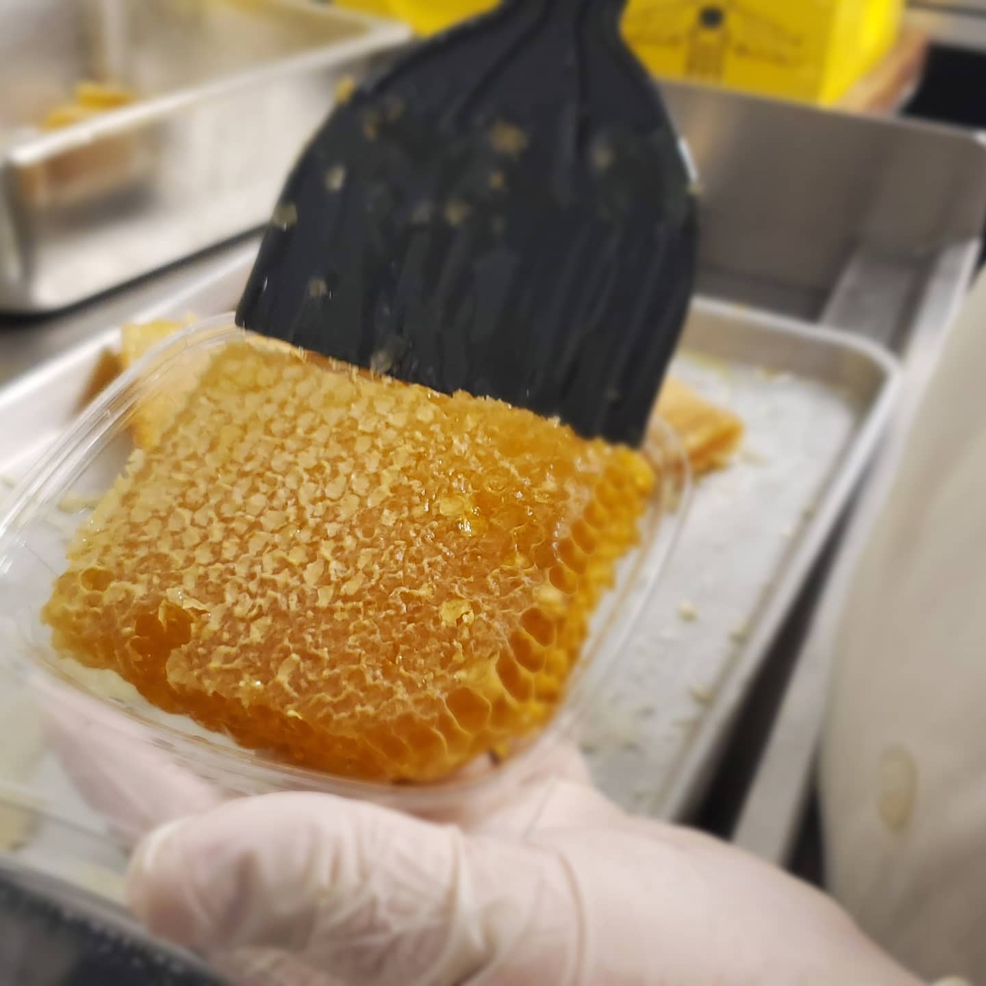 Lavender Honey-2