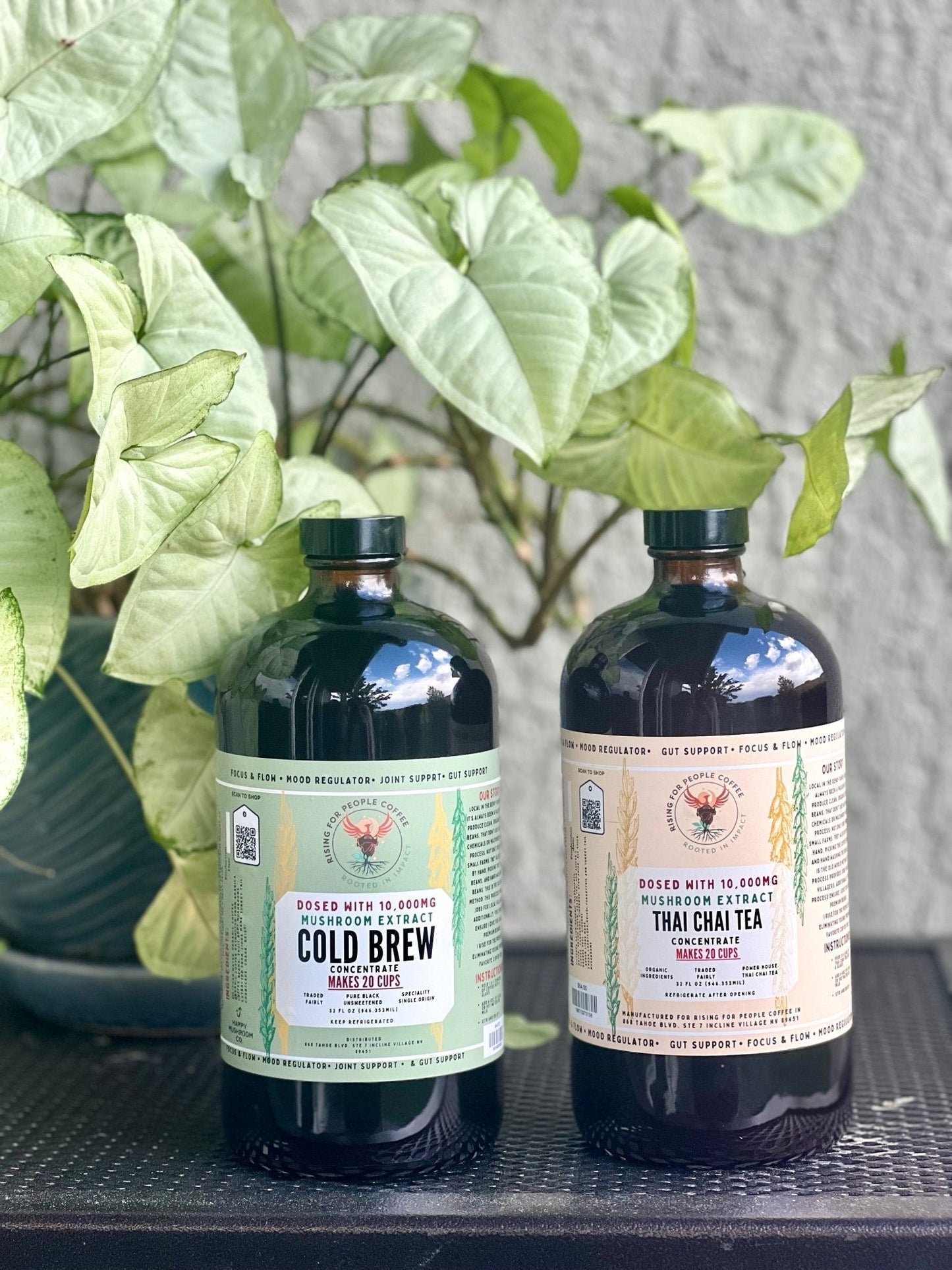Happy Mushroom Cold Brew & Thai Chai Concentrate-0