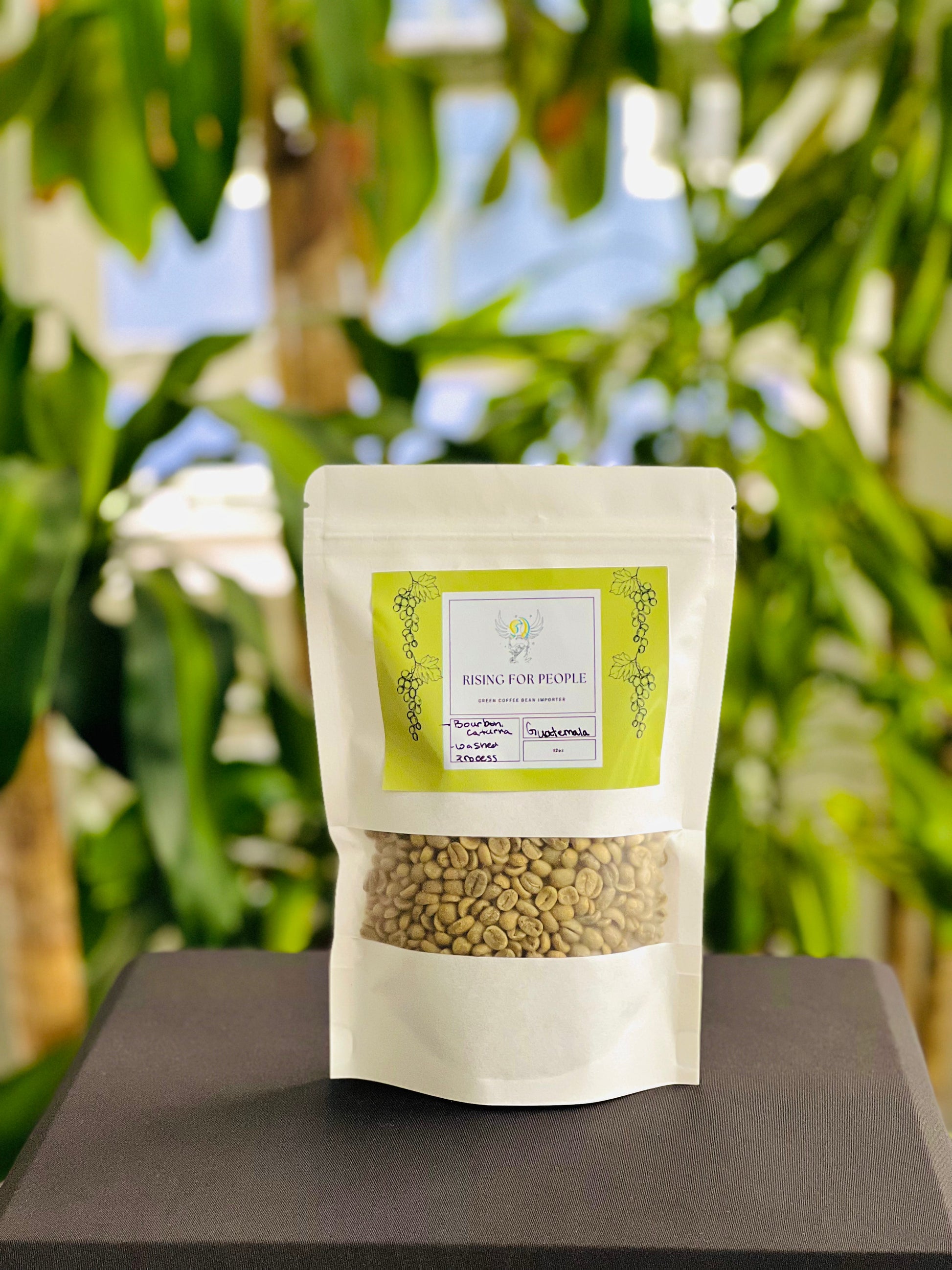 Guatemala- Green Coffee-1